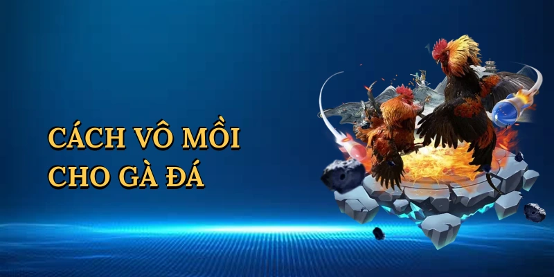 Cách vô mồi cho gà đá