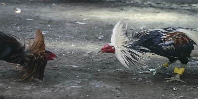 Cộng đồng rất sẻ chia