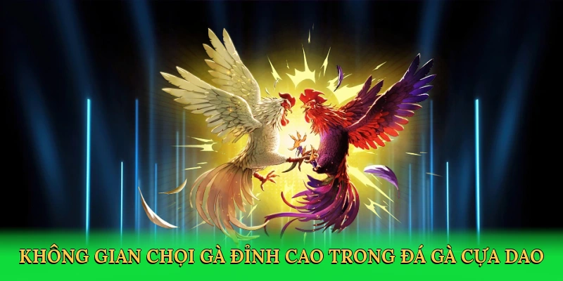Không gian chọi gà đỉnh cao trong đá gà cựa dao