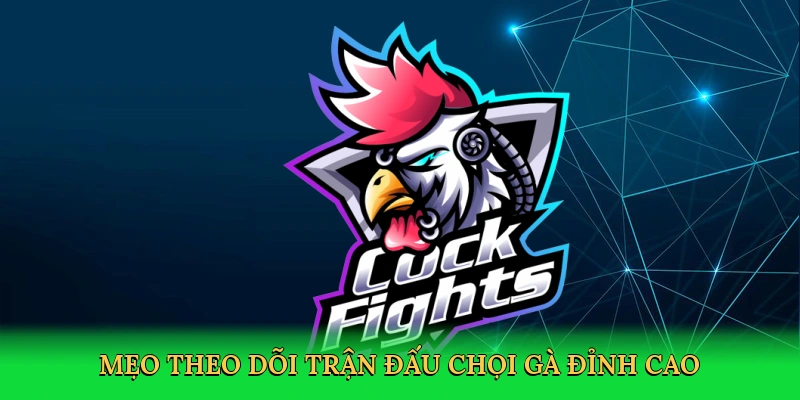 Mẹo theo dõi trận đấu chọi gà đỉnh cao