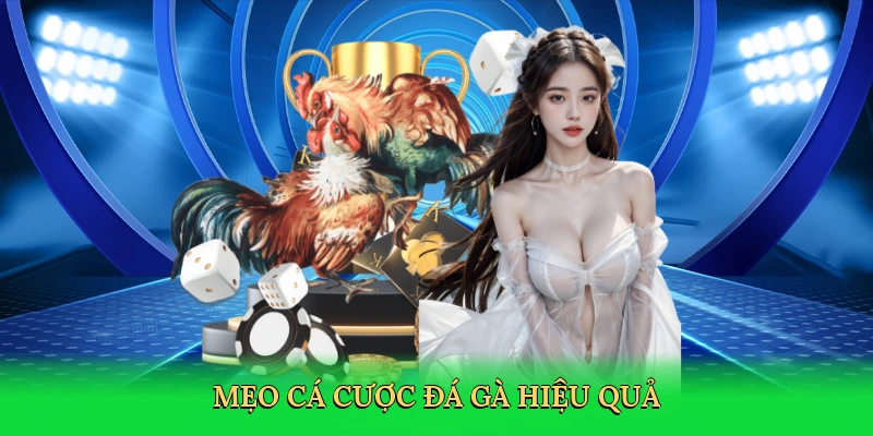meo-ca-cuoc-da-ga-hieu-qua-4