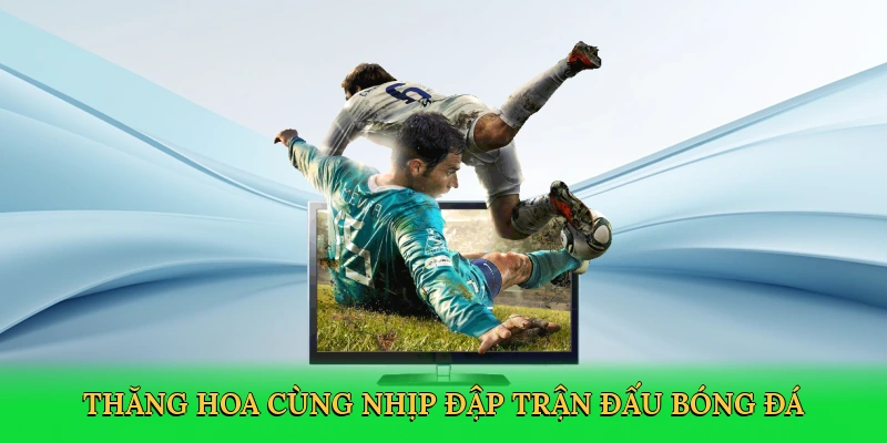 Thăng hoa cùng nhịp đập trận đấu bóng đá