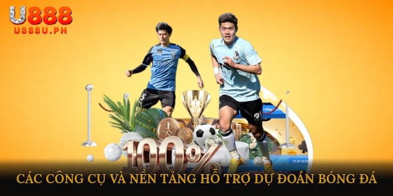 Các công cụ và nền tảng hỗ trợ dự đoán bóng đá