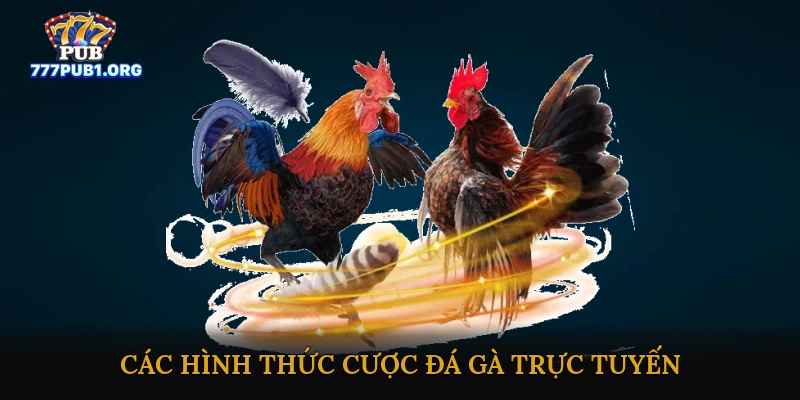 Các Hình Thức Cược Đá Gà Trực Tuyến