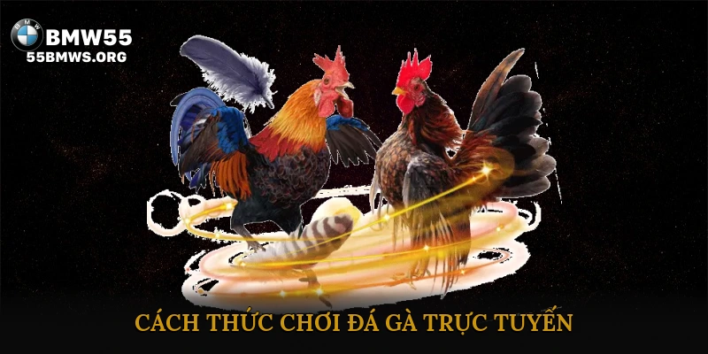 Cách Thức Chơi Đá Gà Trực Tuyến