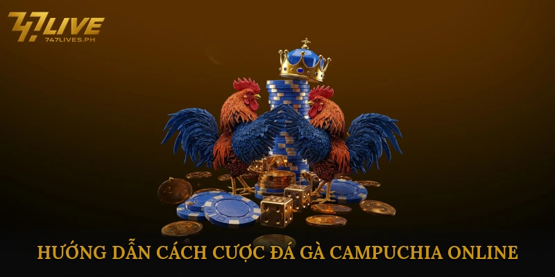 Hướng Dẫn Cách Cược Đá Gà Campuchia Online