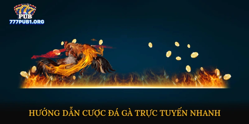 Hướng Dẫn Cược Đá Gà Trực Tuyến Nhanh