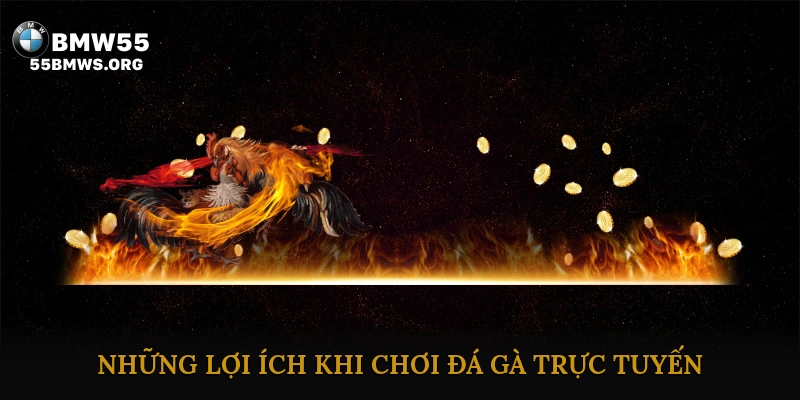 Những Lợi Ích Khi Chơi Đá Gà Trực Tuyến
