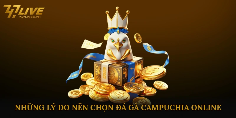 Những Lý Do Nên Chọn Đá Gà Campuchia Online