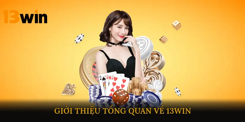 Giới thiệu tổng quan về 13win