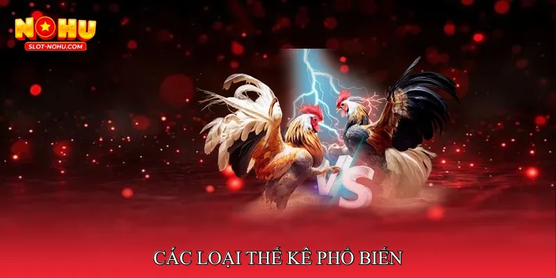 Các Loại Thế Kê Phổ Biến
