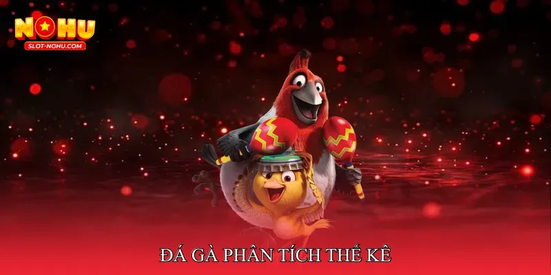 Đá Gà Phân Tích Thế Kê